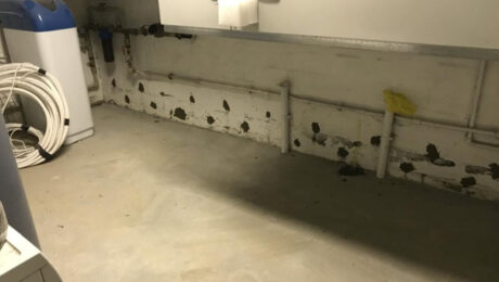 W pomieszczeniu przeprowadzono iniekcję krystaliczną na ścianie.