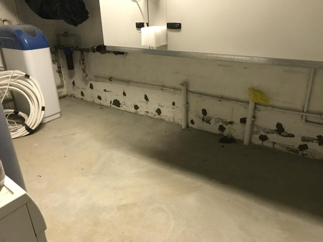 W pomieszczeniu przeprowadzono iniekcję krystaliczną na ścianie.