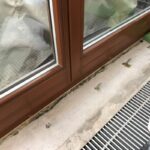 Iniekcje ciśnieniowe w starych budynkach uszczelniają rysy i przejścia od wewnątrz bez odkopywania; PU na przecieki, mineralne na wilgoć.