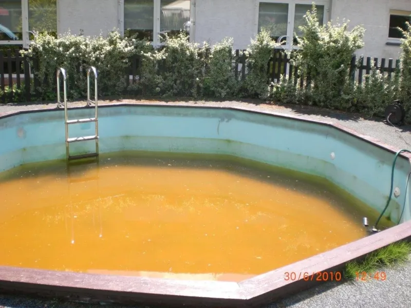 Zaniedbany ośmiokątny basen z zabarwioną wodą przed wymianą folii