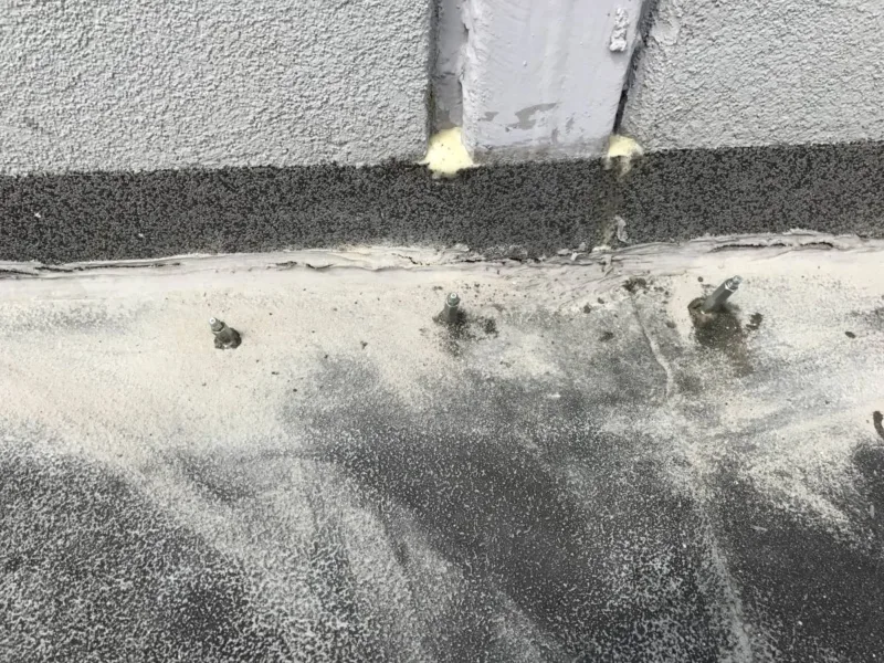 Pakery przy styku ściany z ciemnym cokołem, wokół ślady wilgoci