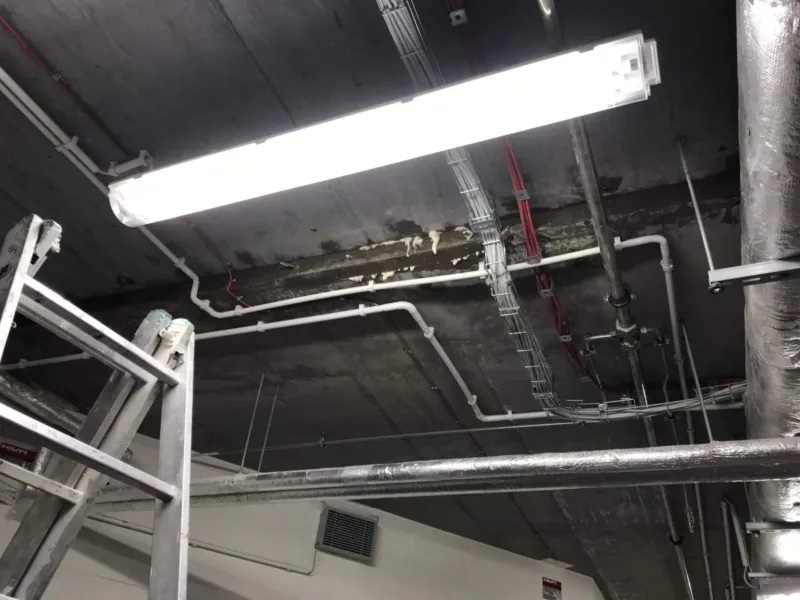 Zawilgocony strop z instalacjami i lampą, obok drabina do prac iniekcyjnych