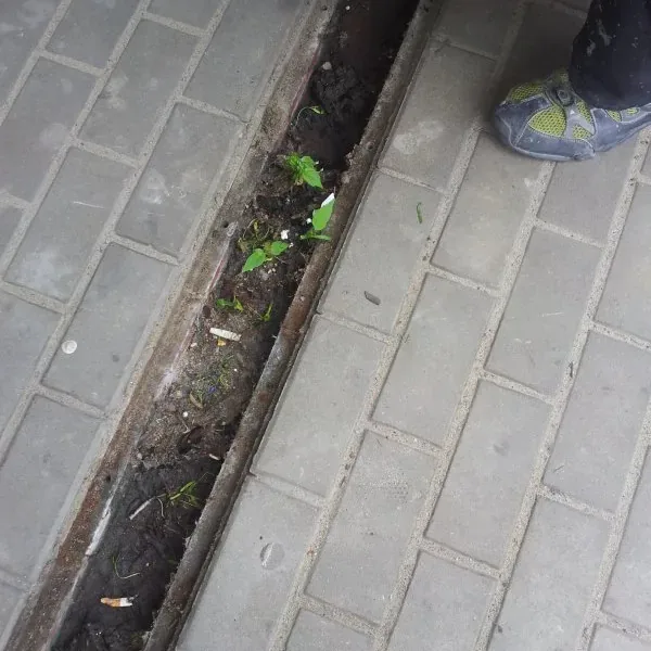 Zanieczyszczona szczelina w nawierzchni z kostki przed oczyszczeniem i uszczelnieniem