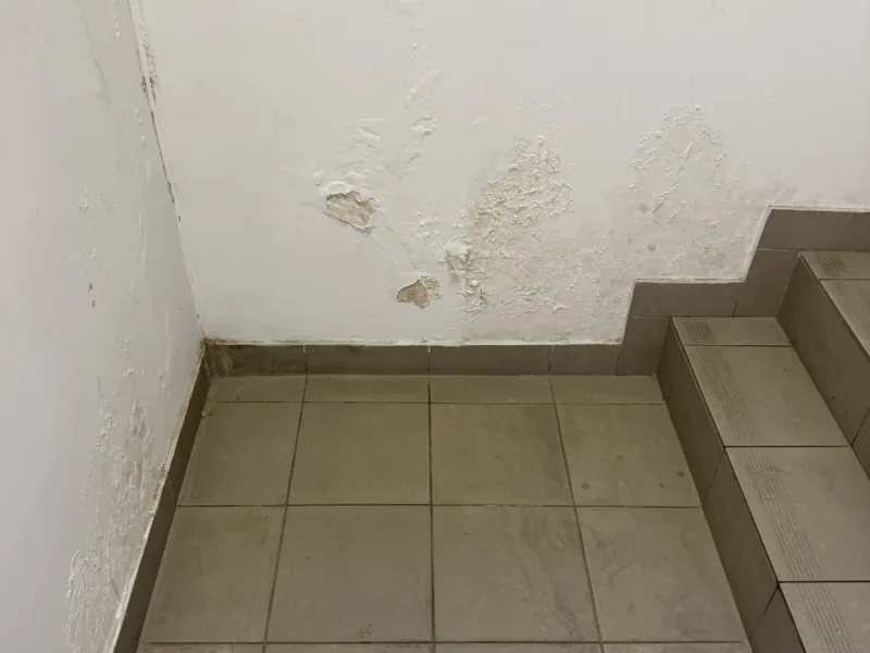 Zawilgocona ściana z plamami i łuszczącą się farbą przy schodach